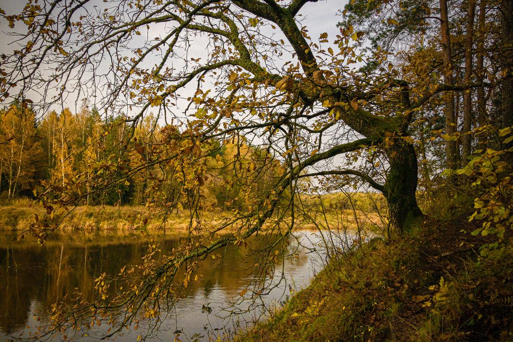 Photograph by Valdis Serzhans