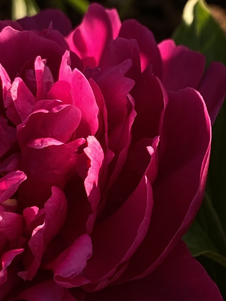 Photograph by Марина Толстопятова