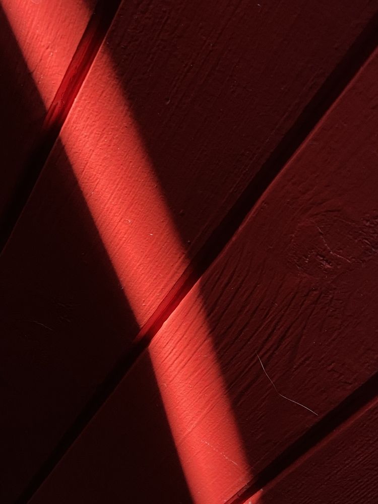 Photograph by Марина Толстопятова