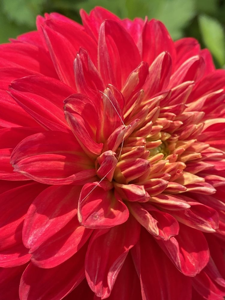 Photograph by Марина Толстопятова