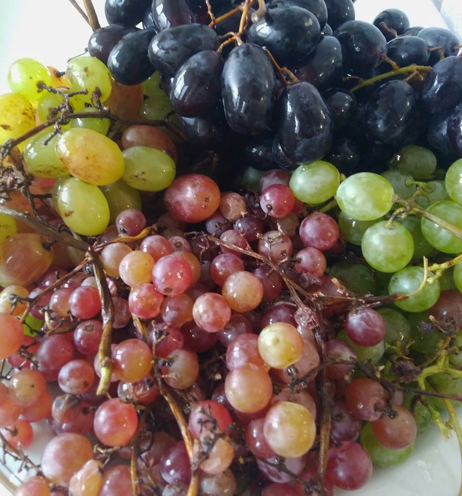 Photograph by Анна Матецкая