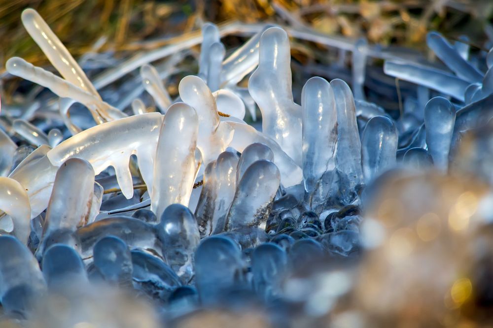 Photograph by Сергей Феофанов