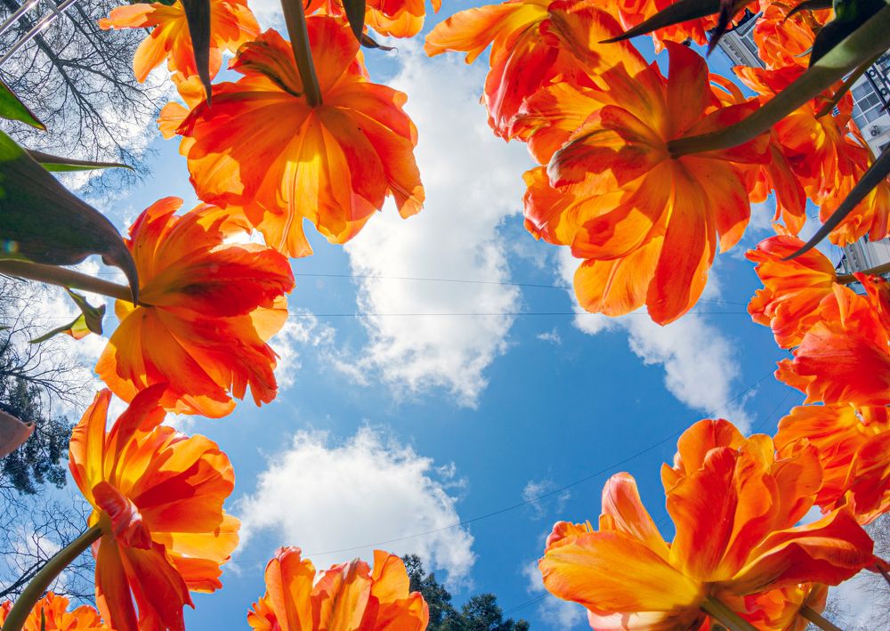 Photograph by Сергей Христинич