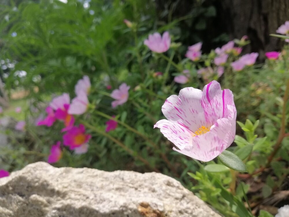 Photograph by Kasun Eranga