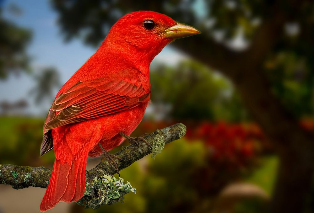 Photograph by daniel peterburg