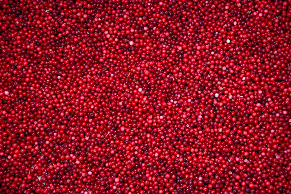 Photograph by Александр Трифанов