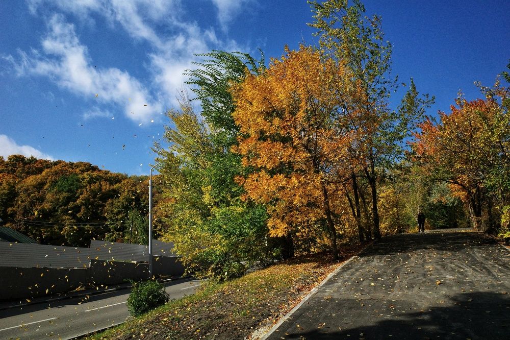 Photograph by Алла Никушкина