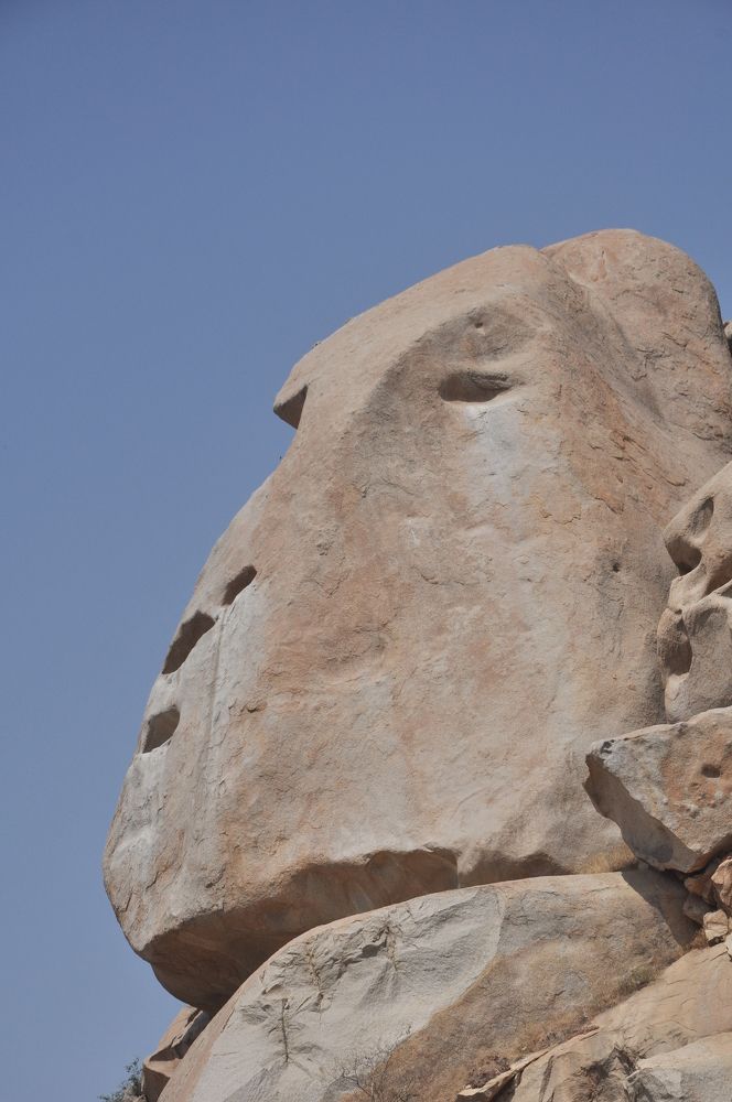 Photograph by SANDEEP KUMAR SHARMA SHARMA