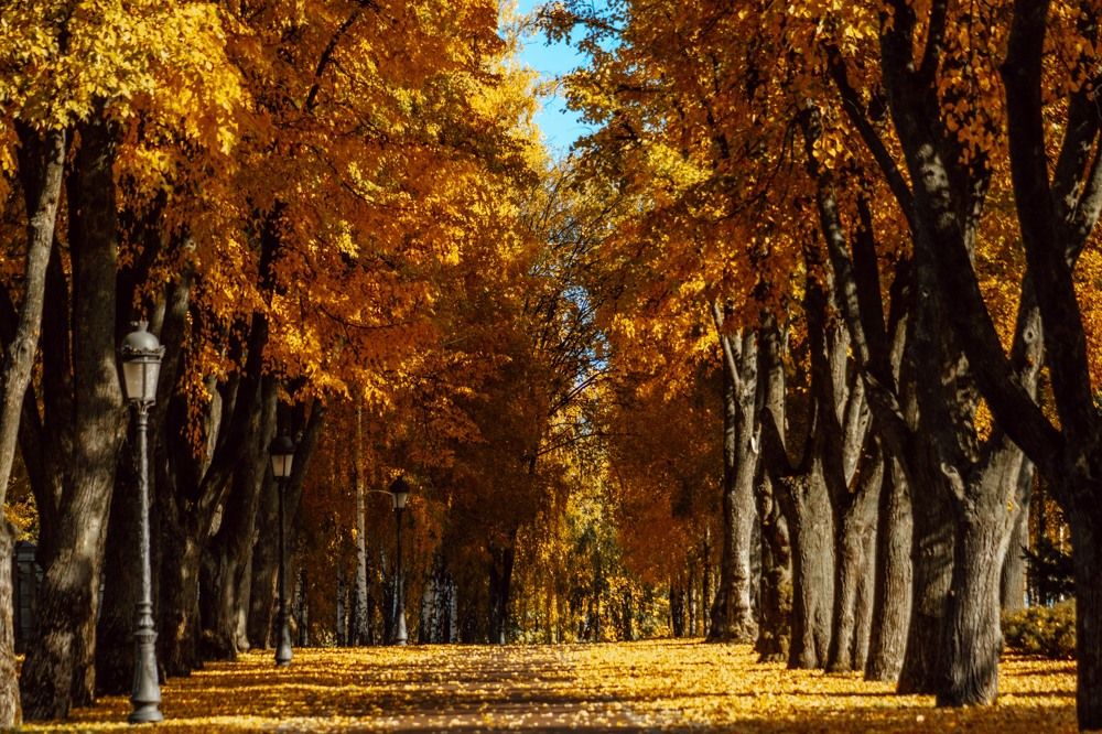 Photograph by Liudmila Kirillova