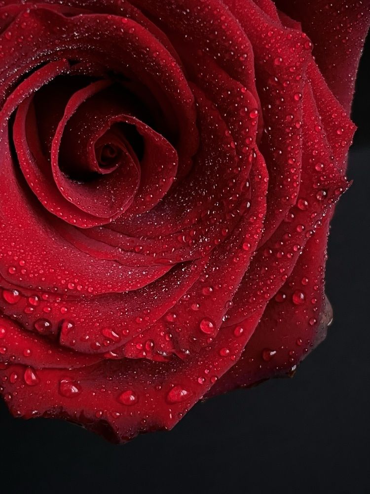 Фотография автора Ирина Мосько