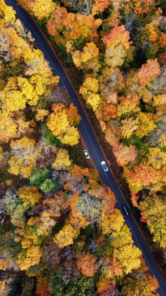 Фотография автора Manoj Kulkarni