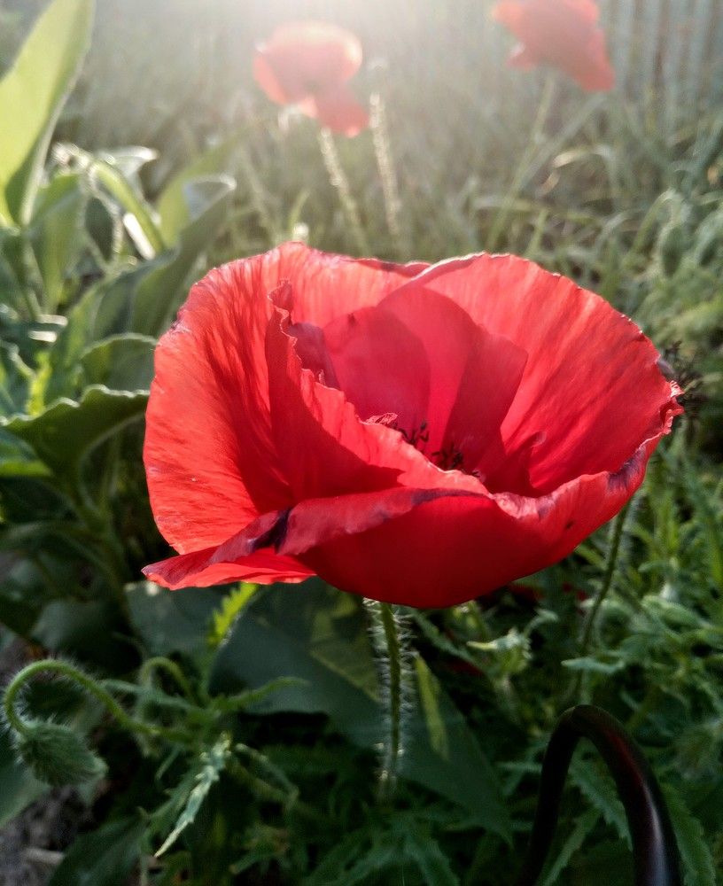 Photograph by Татьяна Пальчикова