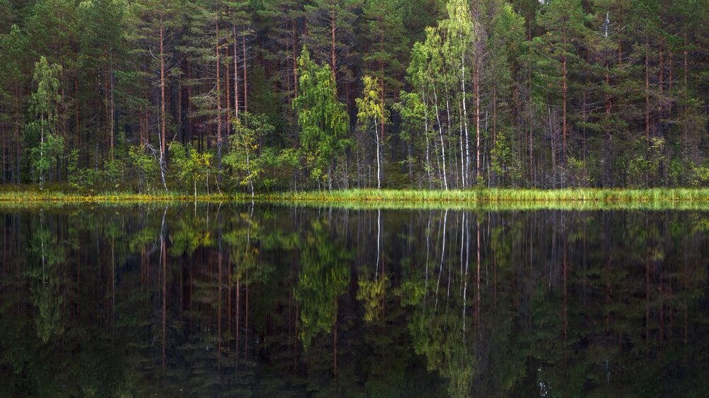 Photograph by Сергей Бадалов