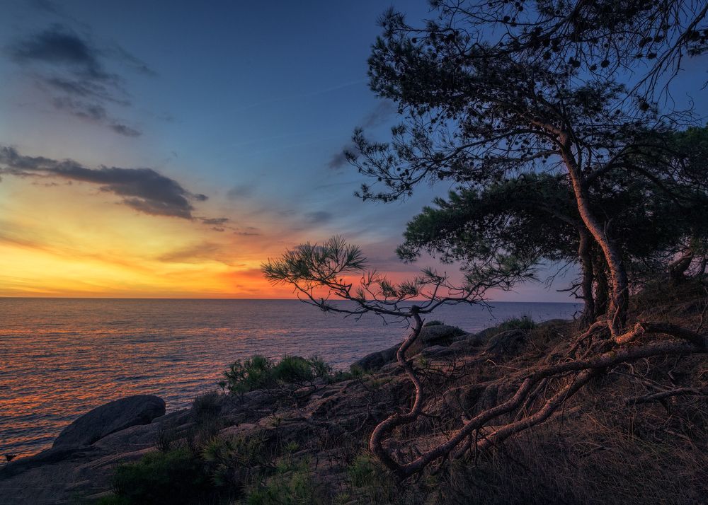 Photograph by García Marín Juan Diego