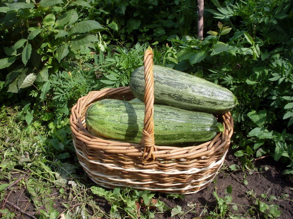 Photograph by Глеб Кузьминых