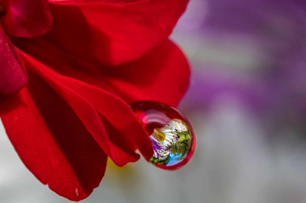 Photograph by Николай Фонарёв