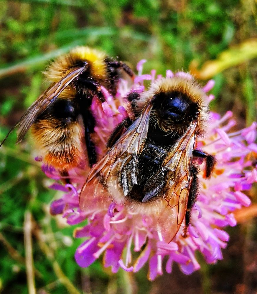 Photograph by Елена Артёменко