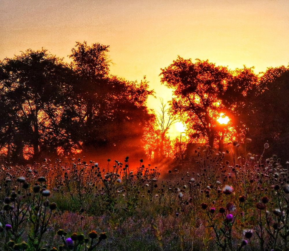 Photograph by Елена Артёменко