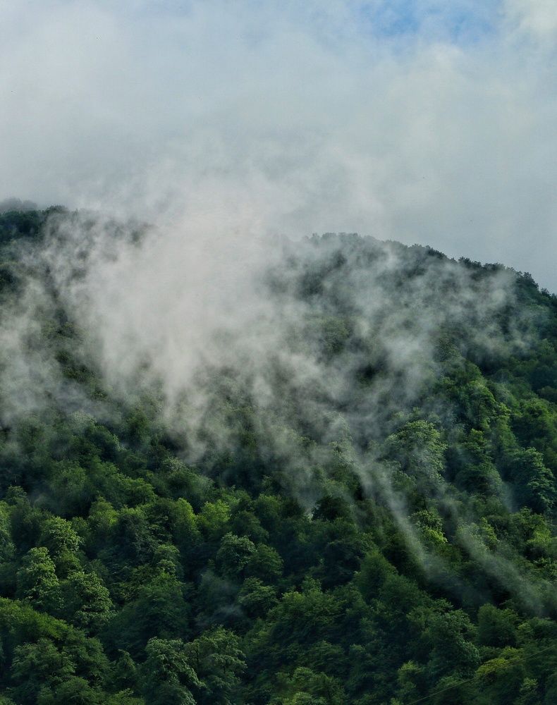 Photograph by Masoumeh Rahimi