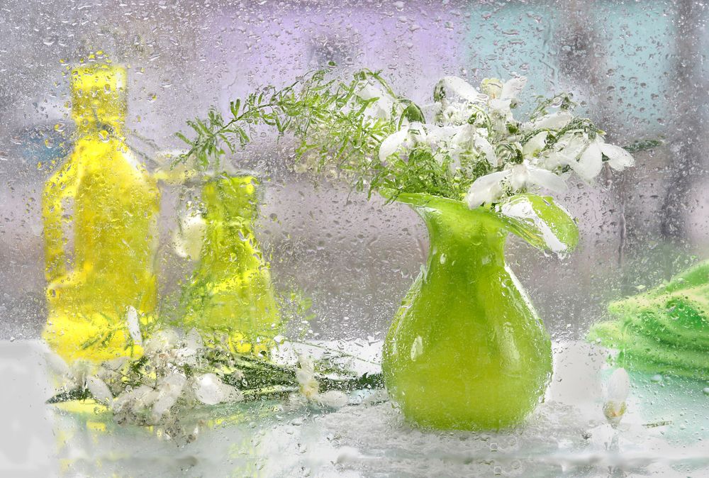 Photograph by Шруб (Беляева) Татьяна