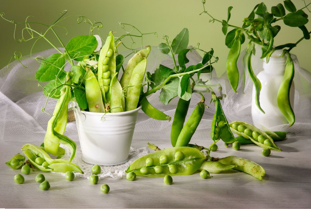 Photograph by Шруб (Беляева) Татьяна