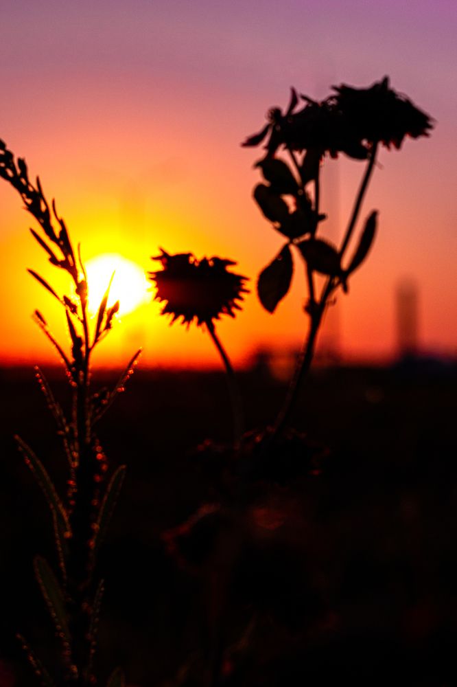 Photograph by Сергей Аникушин