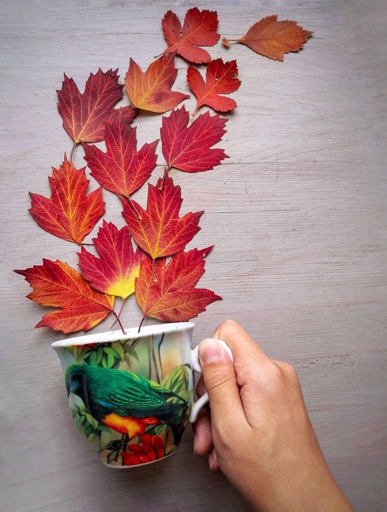 Photograph by Светлана Шелухеева