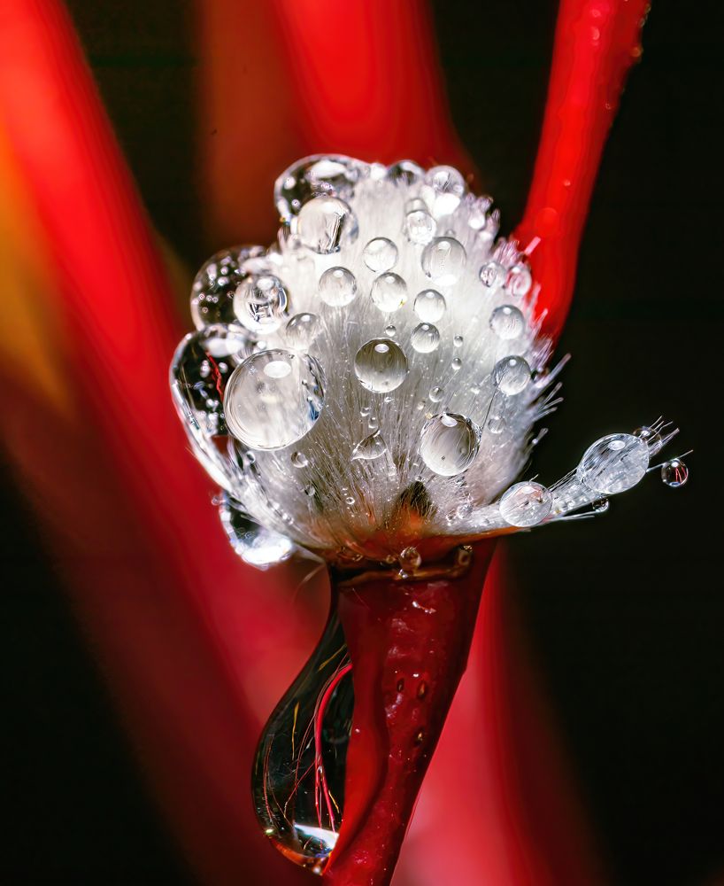 Photograph by Парфентьев Антон