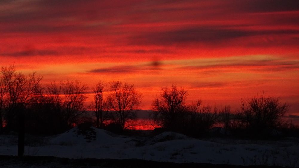 Photograph by Елена Мясникова