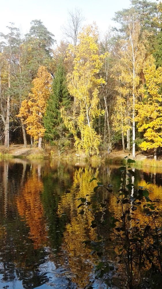 Photograph by Наталия Зилова