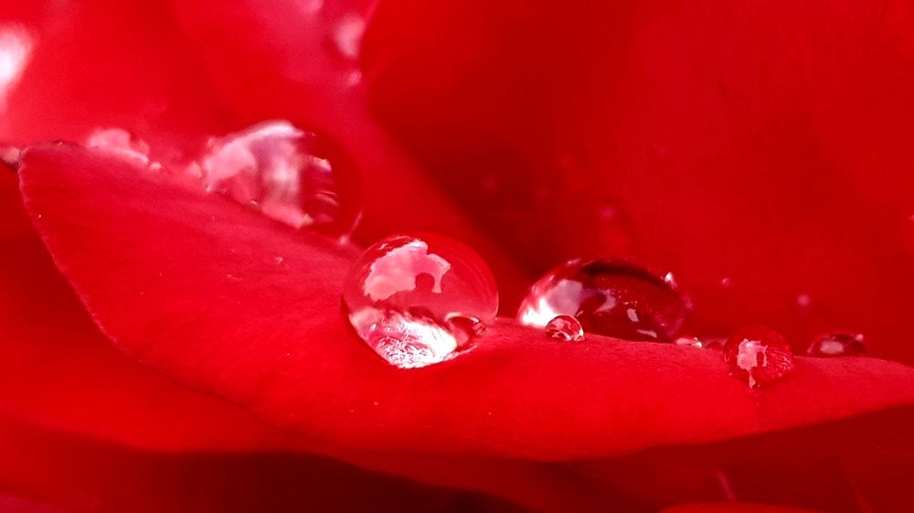 Photograph by Mohammad Mahdi Khojasteh