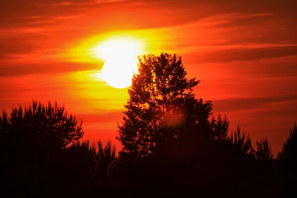 Фотография автора Аня