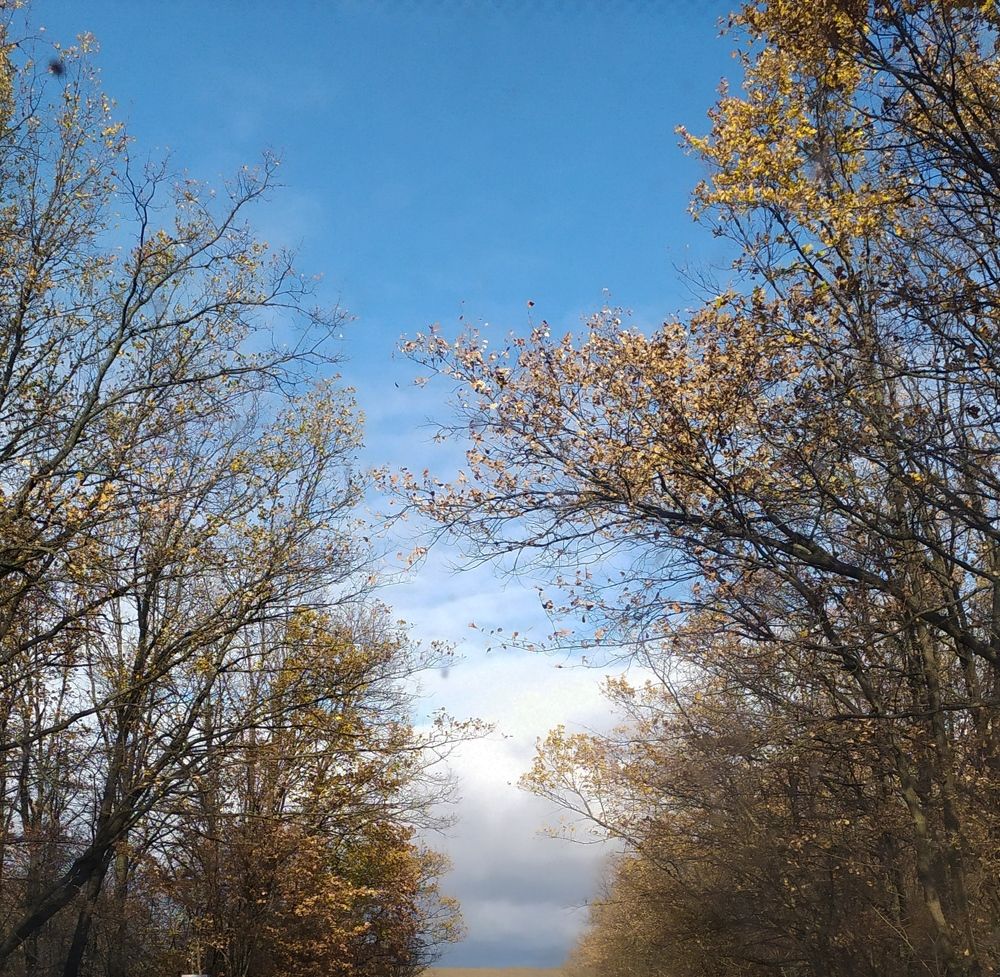 Photograph by Вероника Янина