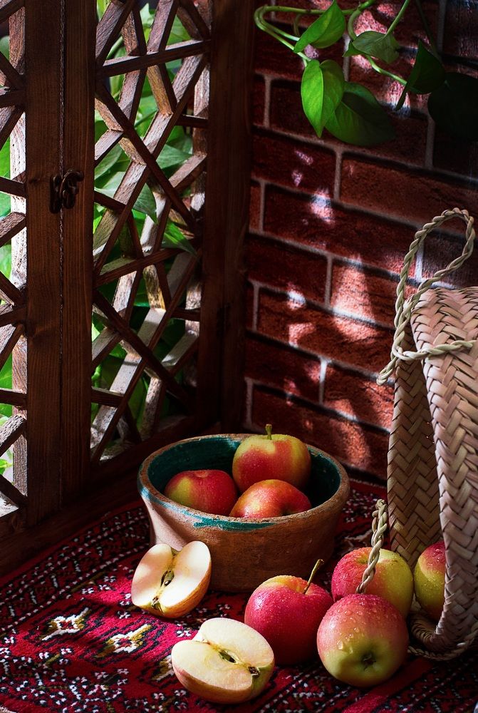 Photograph by javid Hh