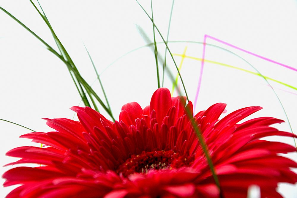 Photograph by Наталья Ивочкина