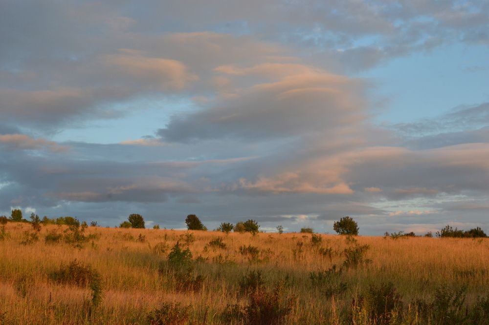 Photograph by Aleksey