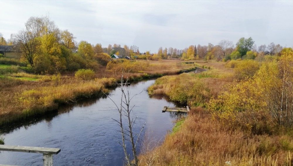 Photograph by Лариса Неудачина