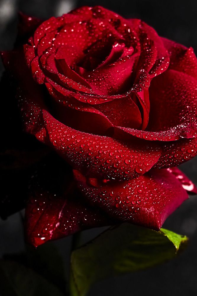 Photograph by Татьяна Полянская