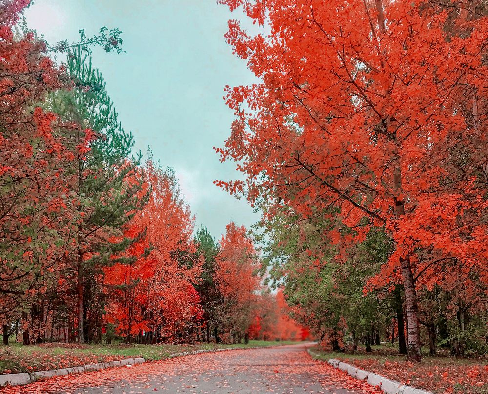 Photograph by Валерия Хрусталёва