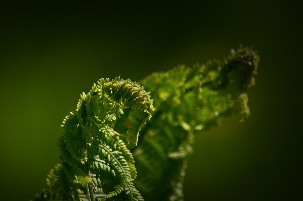 Photograph by Елена Ласун