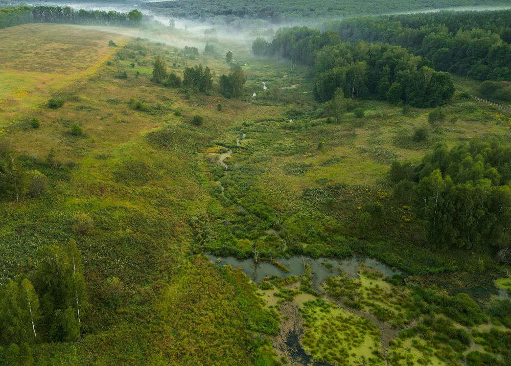 Photograph by Татьяна Сильва
