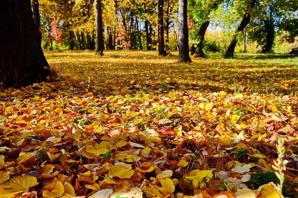 Photograph by Andrey