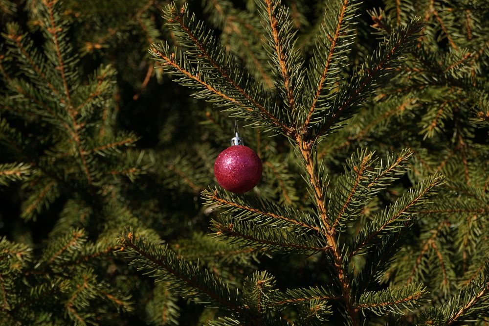 Photograph by Алфия Бугакова