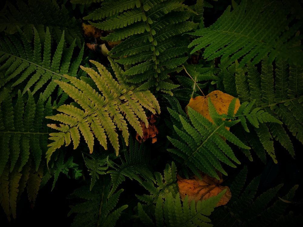 Photograph by Ирина Половцева