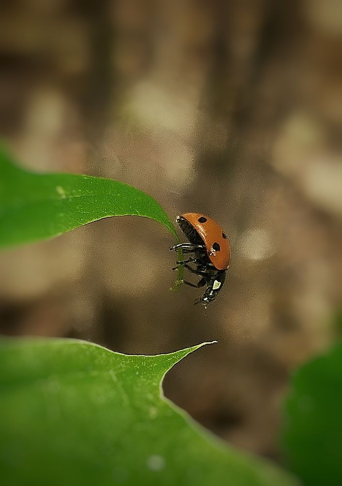 Photograph by Ольга Мартьянова