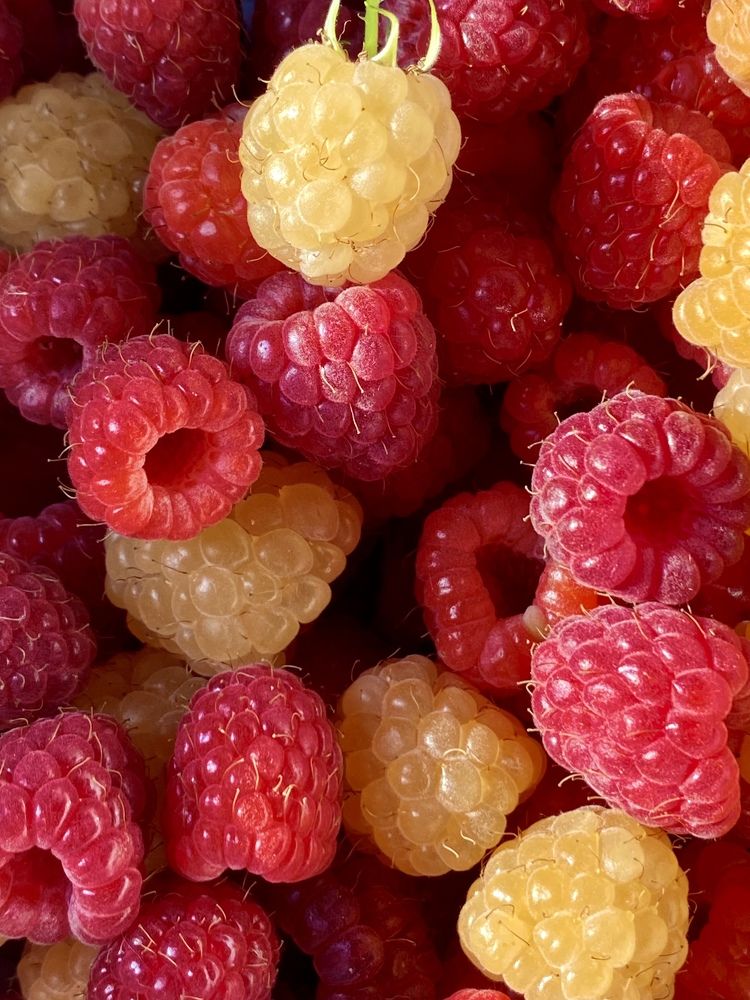 Photograph by Евгения Казакова