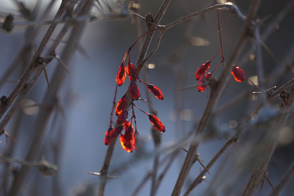 Photograph by Алфия Бугакова