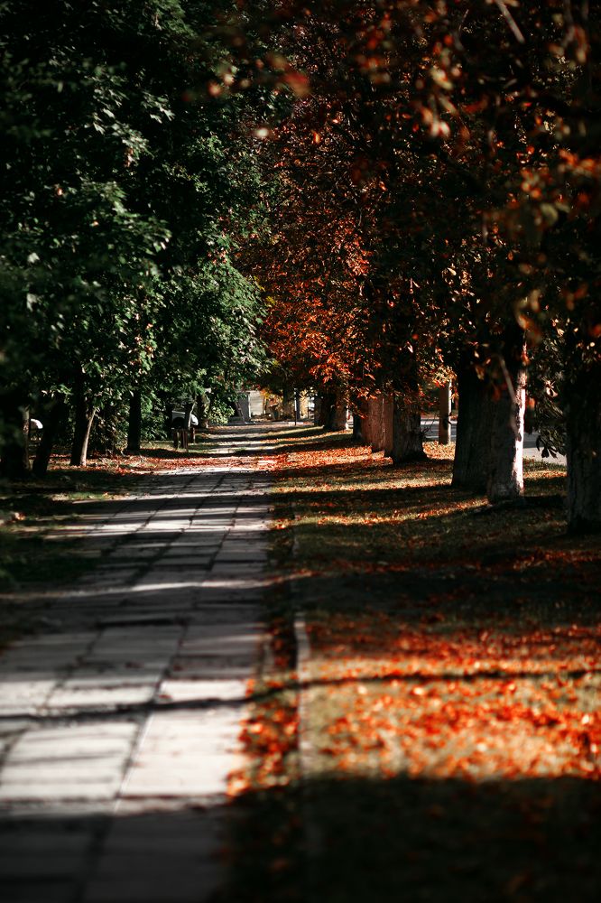 Photograph by Сергей Удовиченко