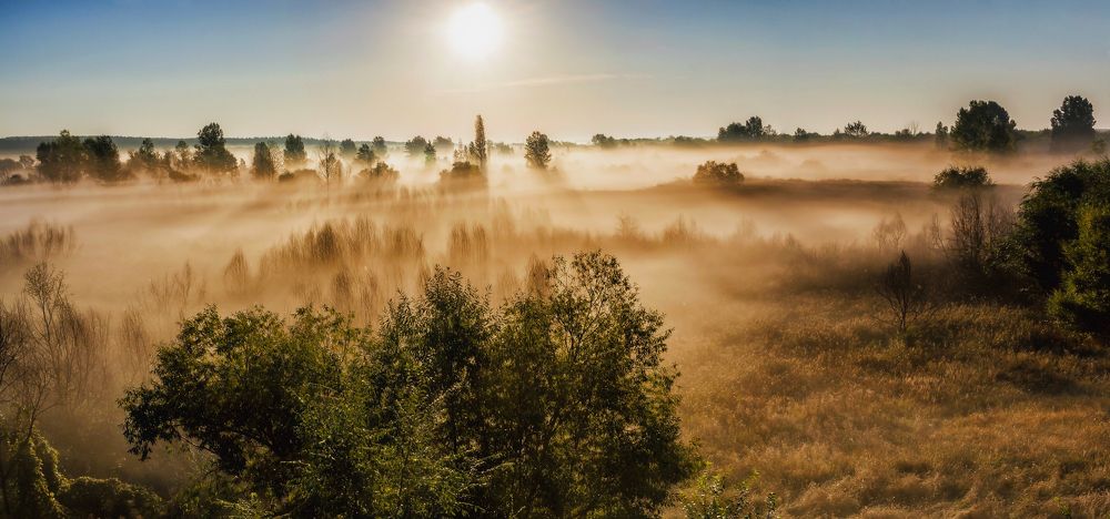 Утром туман, рассвет..