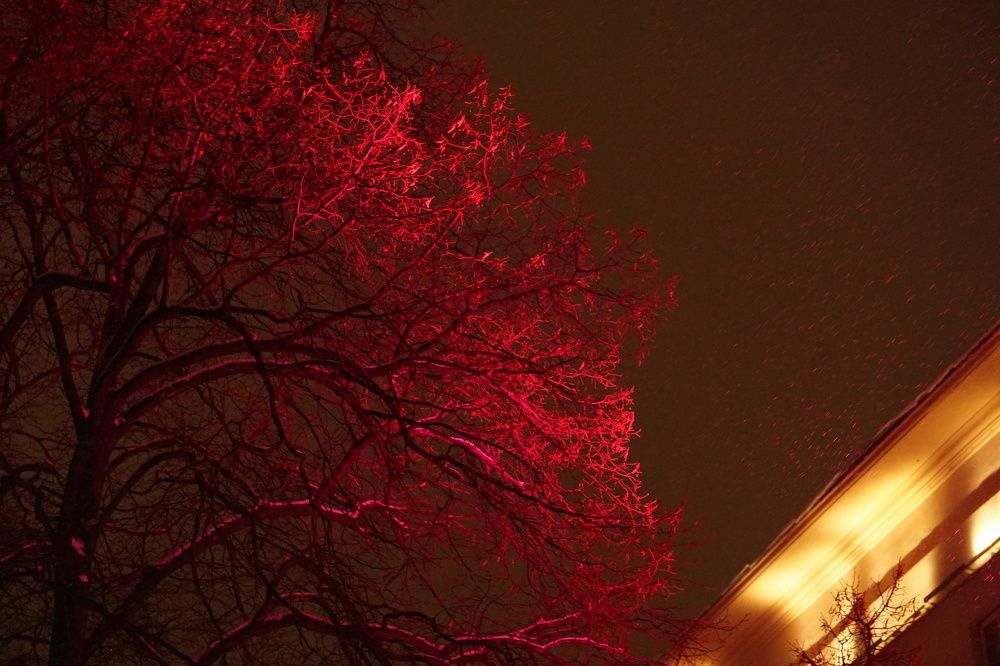 Photograph by Алфия Бугакова